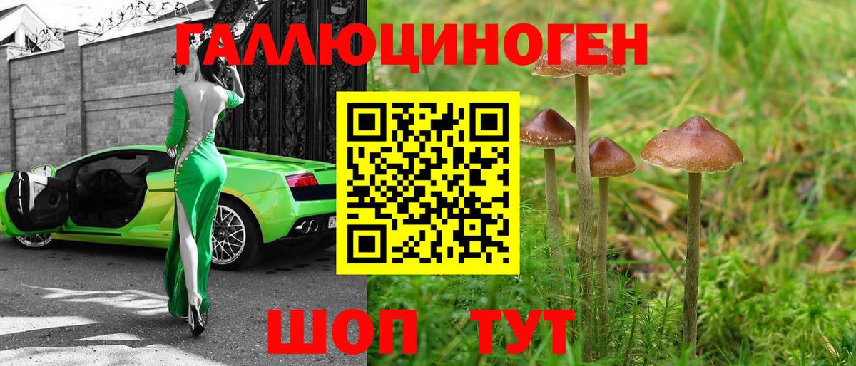 Галлюциногенные грибы MAGIC MUSHROOMS  Вход с VPN  Псилоцибиновые грибы мицелий  Можга 